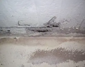 FAQs - Ambient Edge Can Air Quality Tests Detect Mold
