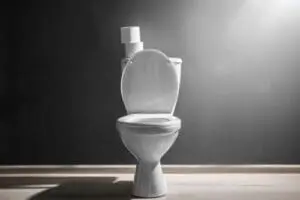 toilet