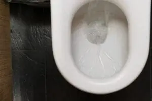 flushing toilet