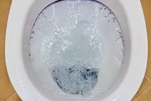 What Is Causing the Vibrating Sounds When I Flush My Toilet?