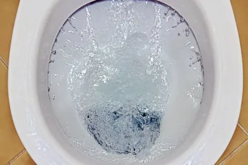What Is Causing the Vibrating Sounds When I Flush My Toilet? - Ambient Edge What Is Causing the Vibrating Sounds When I Flush My Toilet?