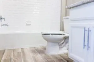 toilet and bathtub