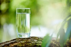 glass of water on tree log outside