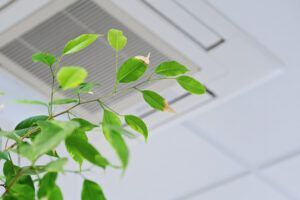 A houseplant sits beneath an air conditioning vent. Here are 6 signs your home’s indoor air quality needs attention.
