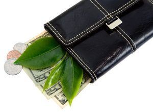 Pad Your Wallet This Summer
