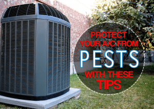 Protect Your AC from Pests With These Tips