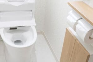 Faqs why is there a vibrating sound in my walls when i flush my toilet