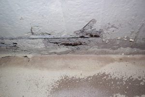 Can Air Quality Tests Detect Mold?