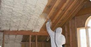Insulation Installation in Paradise, NV