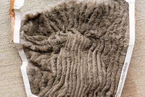 Can a Dirty Air Filter Cause My AC to Stop Working?
