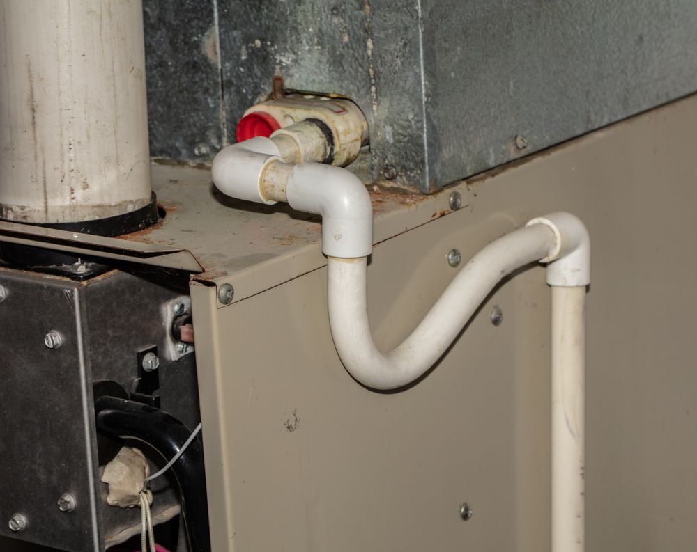 https://www.ambientedge.com/wp-content/uploads/2022/07/air-conditioner-drain-line-runs-out-of-basement.jpg