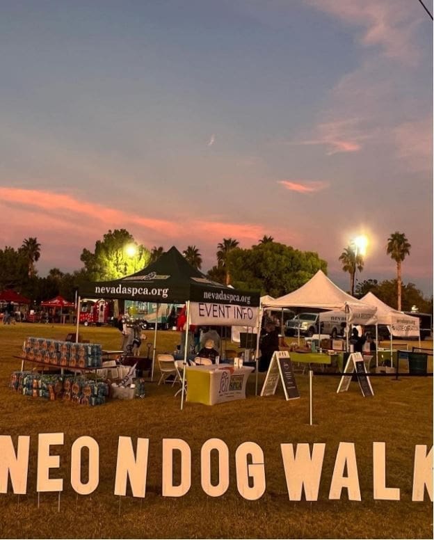 Consider joining the NSPCA at the 2023 Neon Dog Walk.