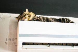 How Long Should AC Run on a 100-Degree Day (or Hotter)?