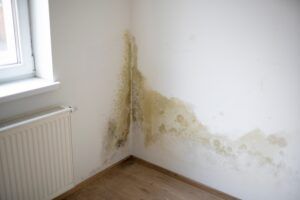 How do Mold and Mildew Impact Indoor Air Quality?