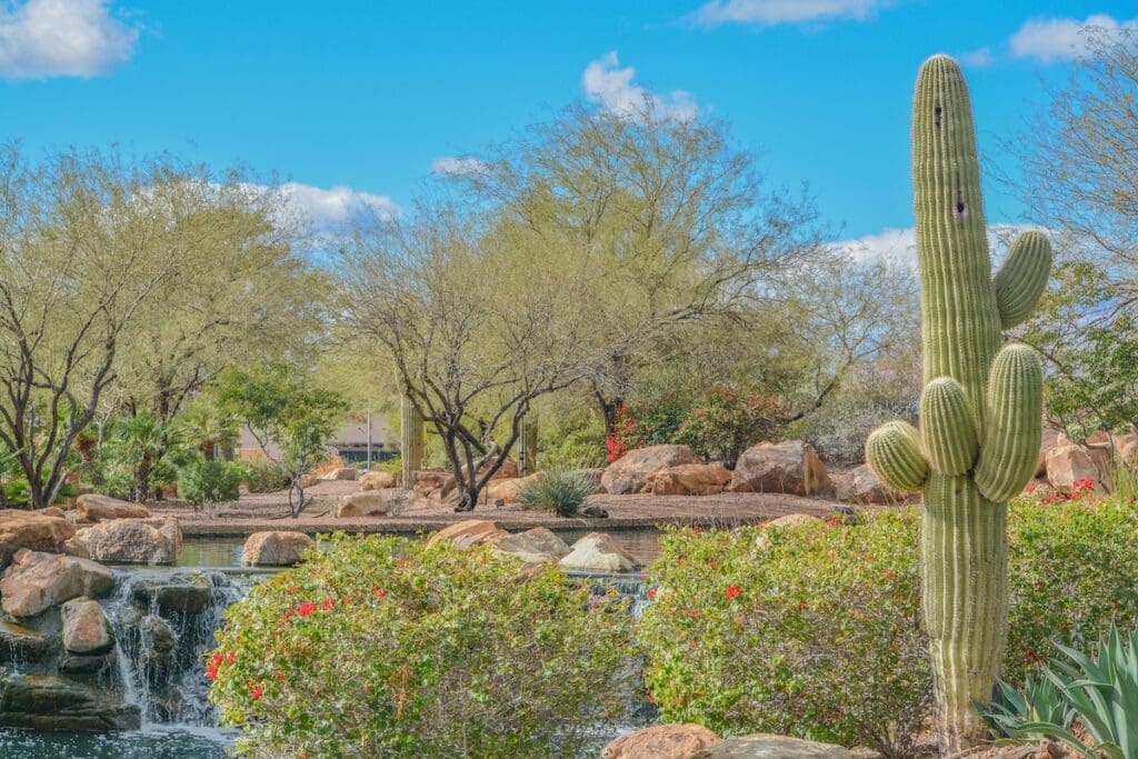 Anthem Arizona