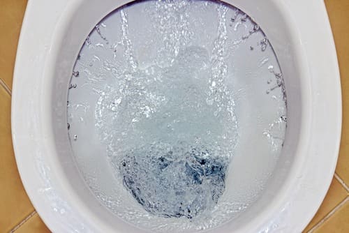 Read more about the article What Is Causing the Vibrating Sounds When I Flush My Toilet?